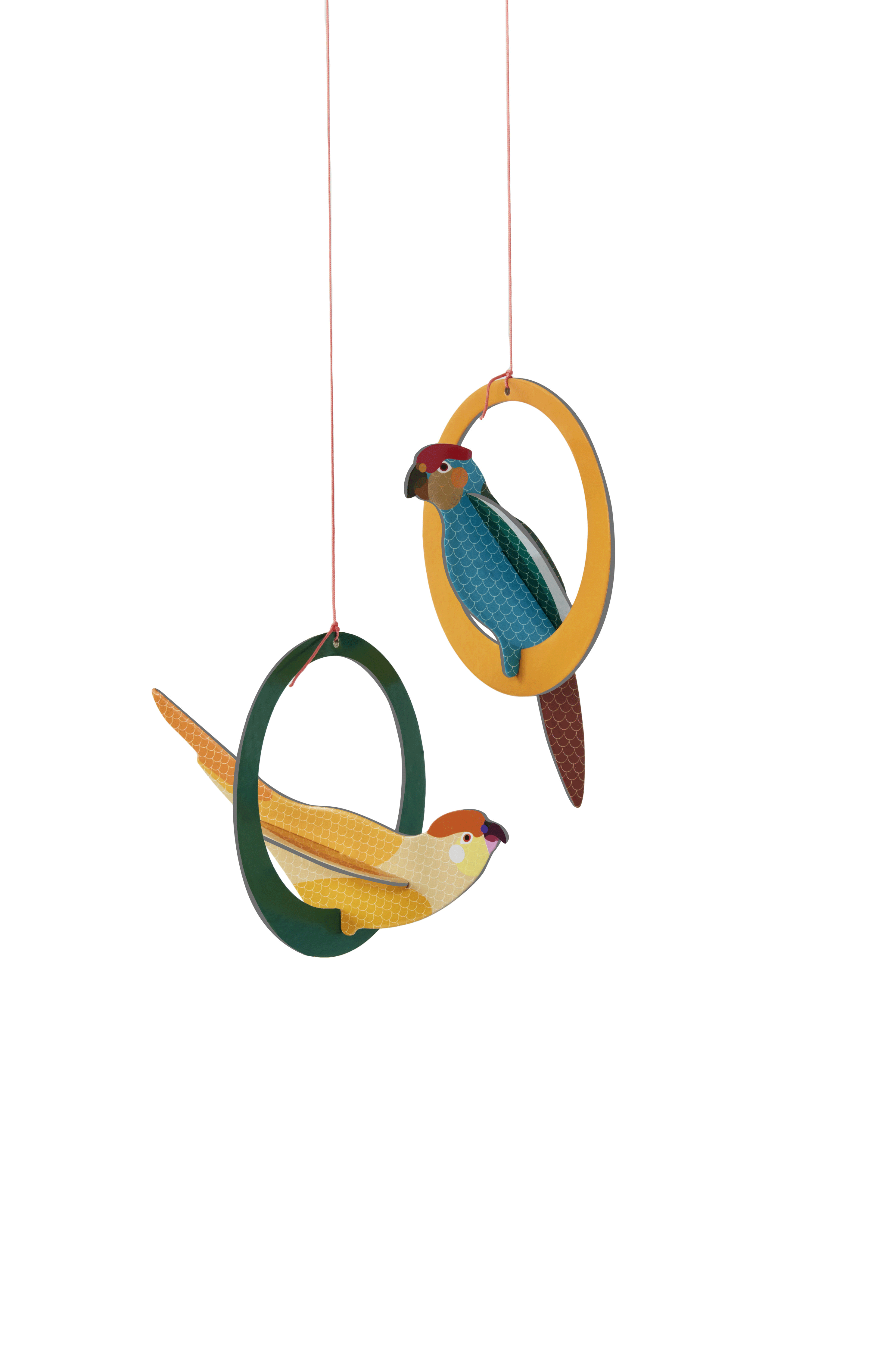 3D Pop Out Parakeet Greeting Card - Handmade Bird Design for Birthdays, Anniversaries & Special Occasions | Perfect Gift for Bird Lovers by Studio ROOF