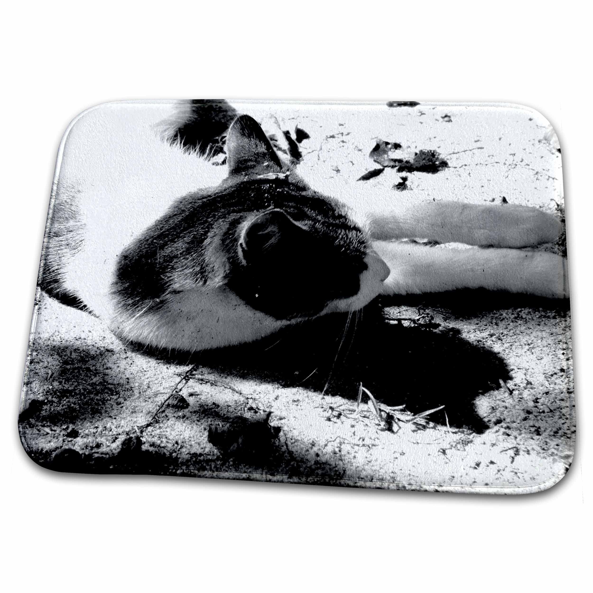 Premium Cat-Themed Dish Drying Mat - Black & White Sleeping Cat Photography Design for Kitchen Countertop | Non-Slip, Absorbent & Stylish Kitchen Accessory | Perfect for Drying Dishes, Protecting Countertops & Adding Decor