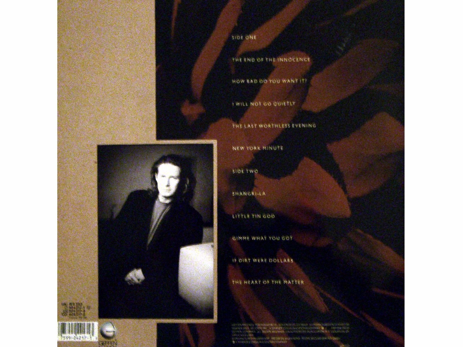 The End of the Innocence - Classic Album by Don Henley | Vinyl Record & Digital Download | Perfect for Nostalgic Music Lovers & 80s Rock Collectors