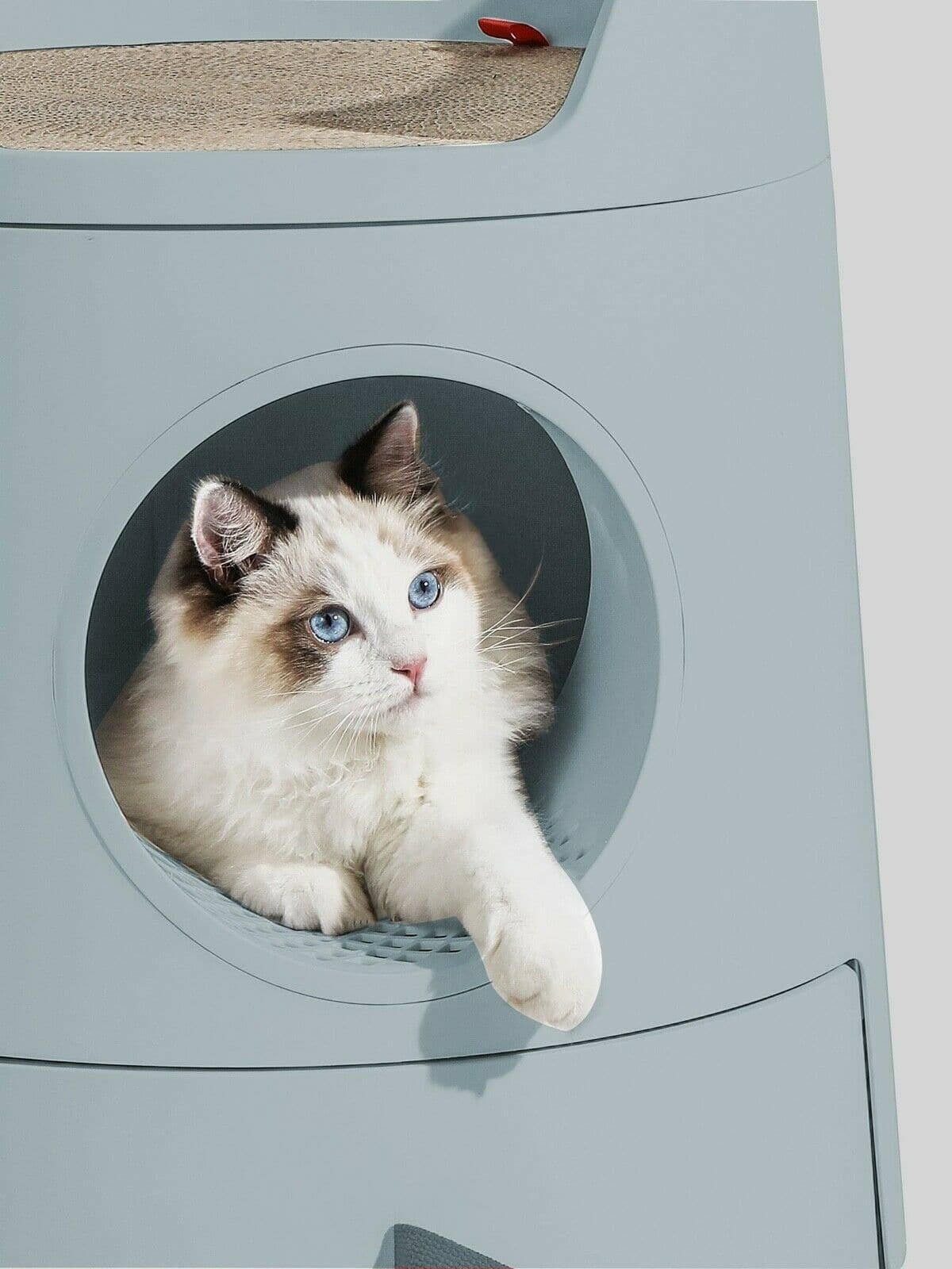 MAYITWILL XL Enclosed Cat Litter Box for Large Cats - Green Semi-Covered Litter Pan with High Walls | Odor Control & Privacy for Indoor Cats