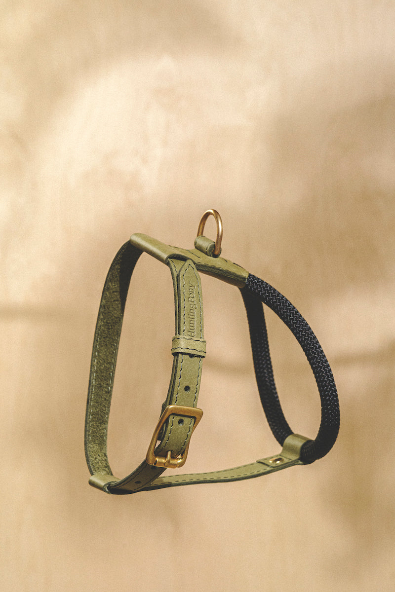 Premium Adjustable Dog Harness for Small & Medium Dogs - Pony Makarony Green - Comfortable & Secure Pet Vest for Walking, Running, Hiking & Outdoor Adventures