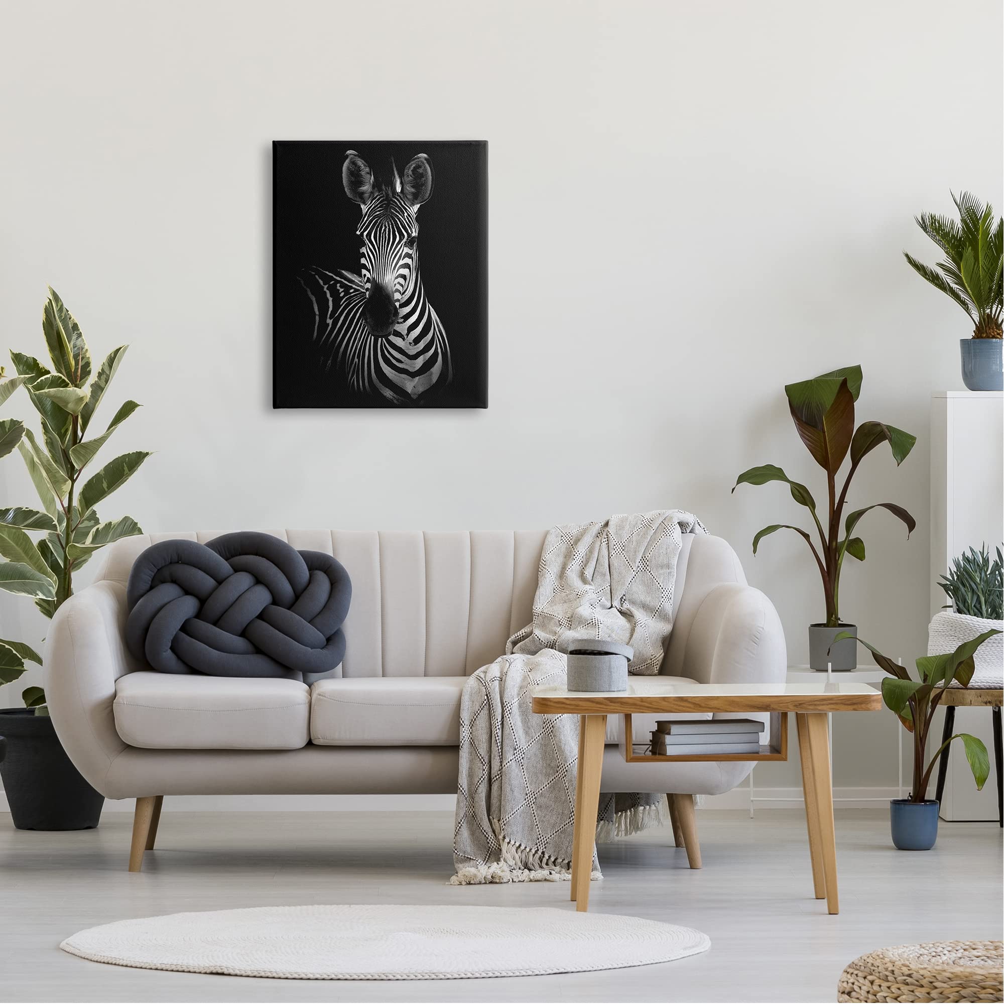 Striking Black and White Zebra Portrait Photography Wall Art - Modern Monochrome Animal Decor for Living Room, Bedroom & Office - Stupell Industries by Incado