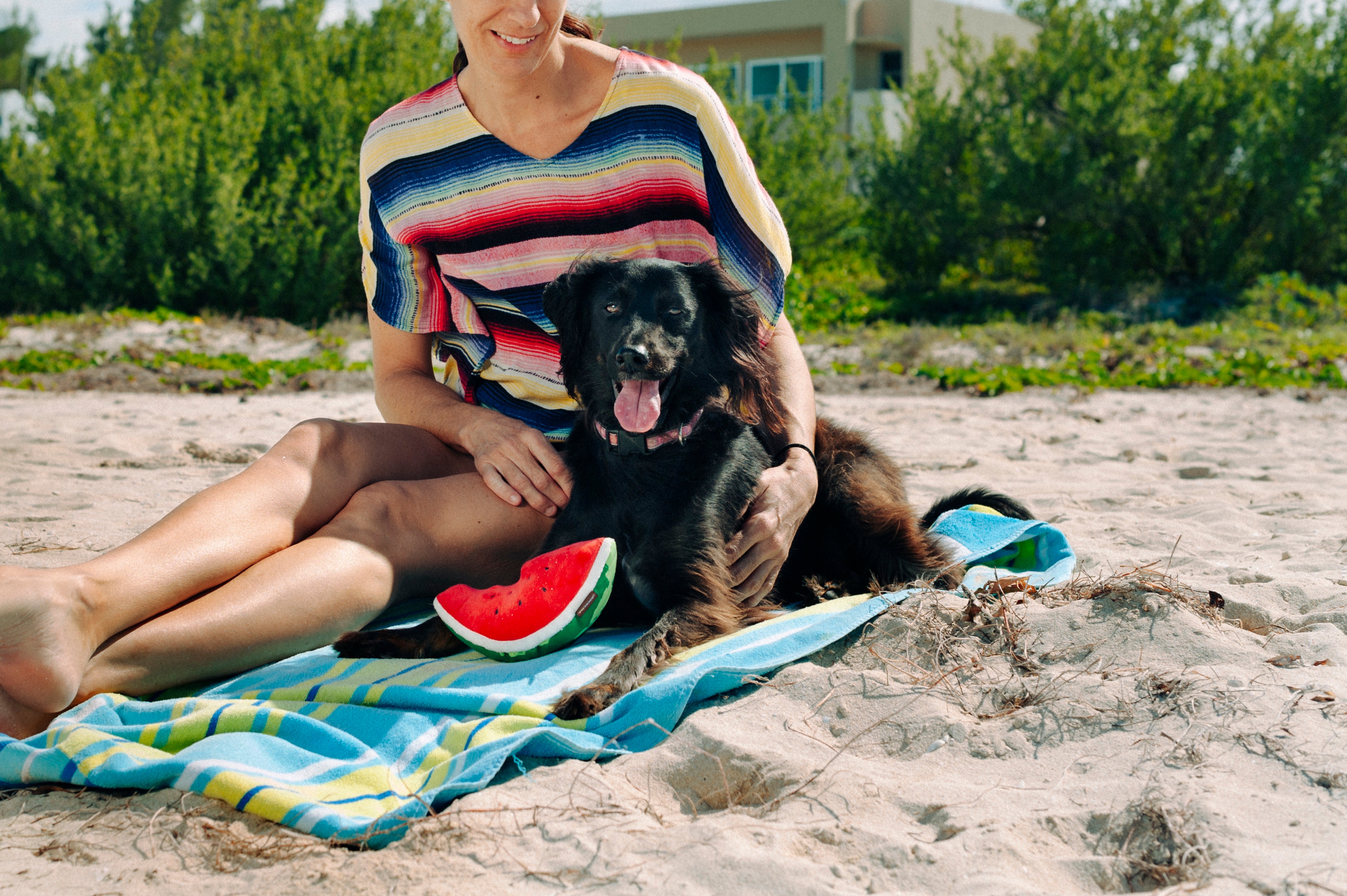 Tropical Paradise™ Watermelon Dog Plush Toy - Durable & Fun Chew Toy for Small & Large Dogs | Perfect for Playtime, Training & Cuddling | Pet P.L.A.Y.
