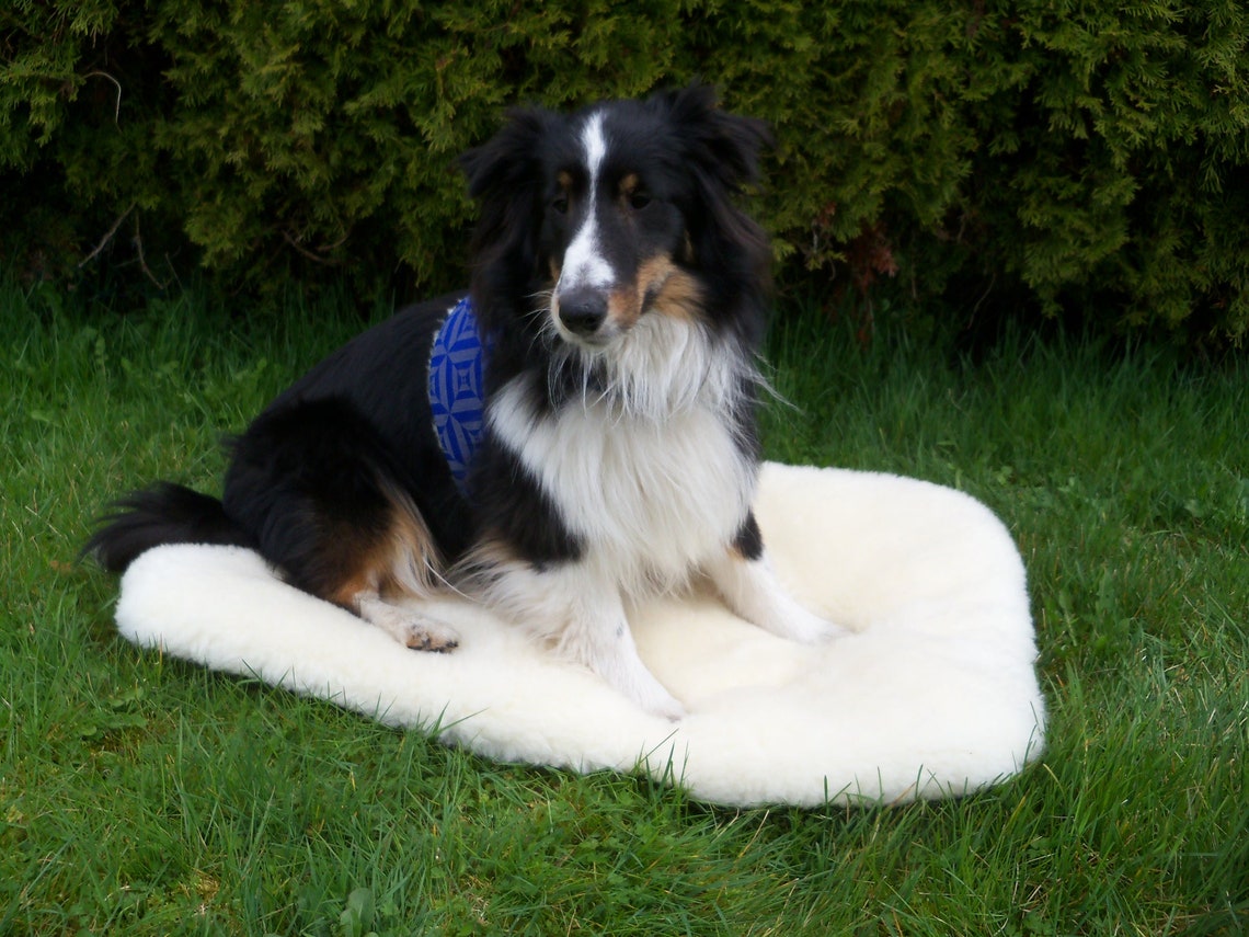 Premium Sheep Wool Pet Mats for Dogs & Cats - Soft & Durable Pet Bed Mat - Perfect for Beds, Floors & Crates - Eco-Friendly & Machine Washable