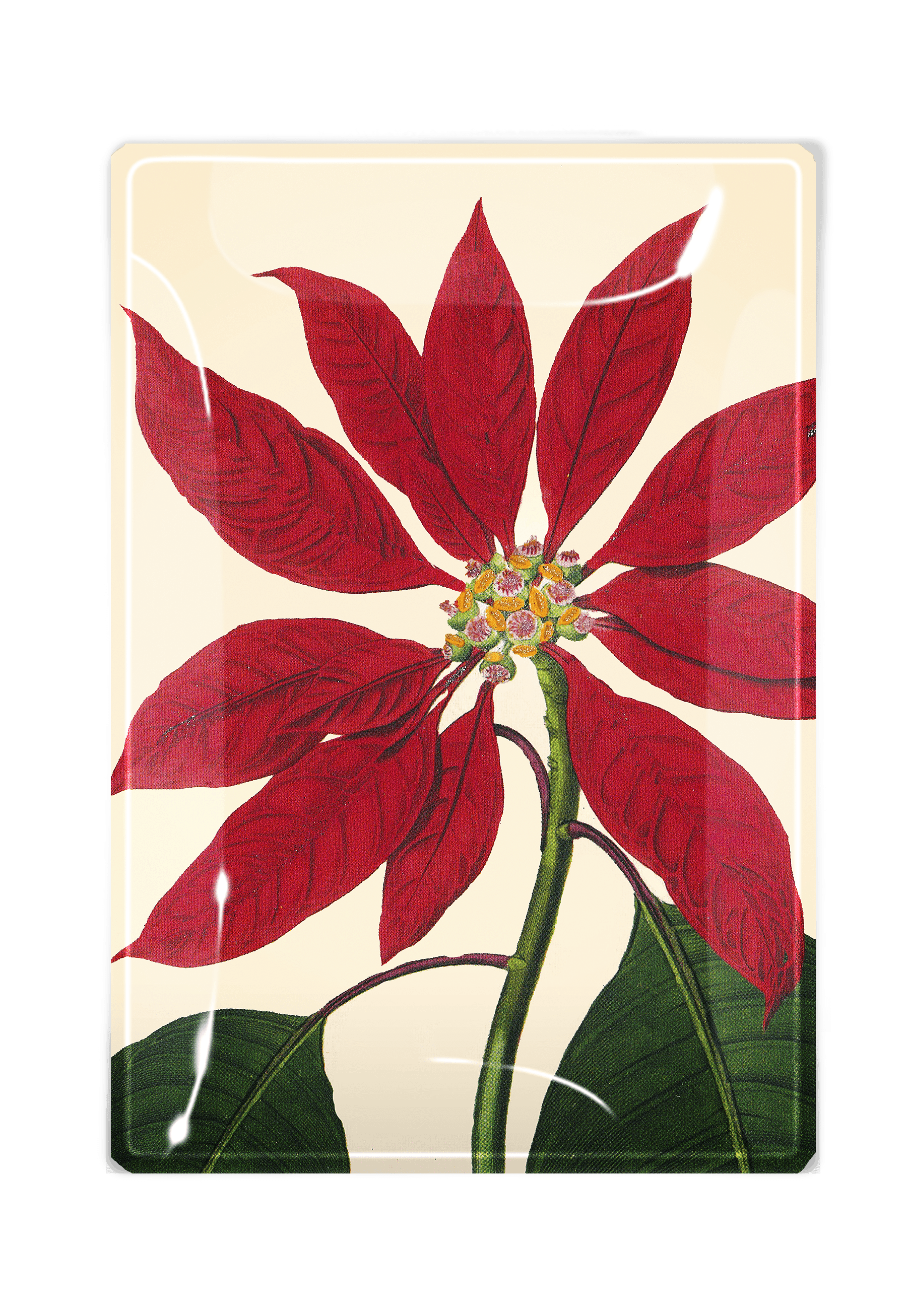 Christmas Poinsettia Decoupage Glass Tray - Holiday Serving Tray for Christmas Decor, Desserts, and Party Appetizers - Perfect for Festive Entertaining and Home Decor