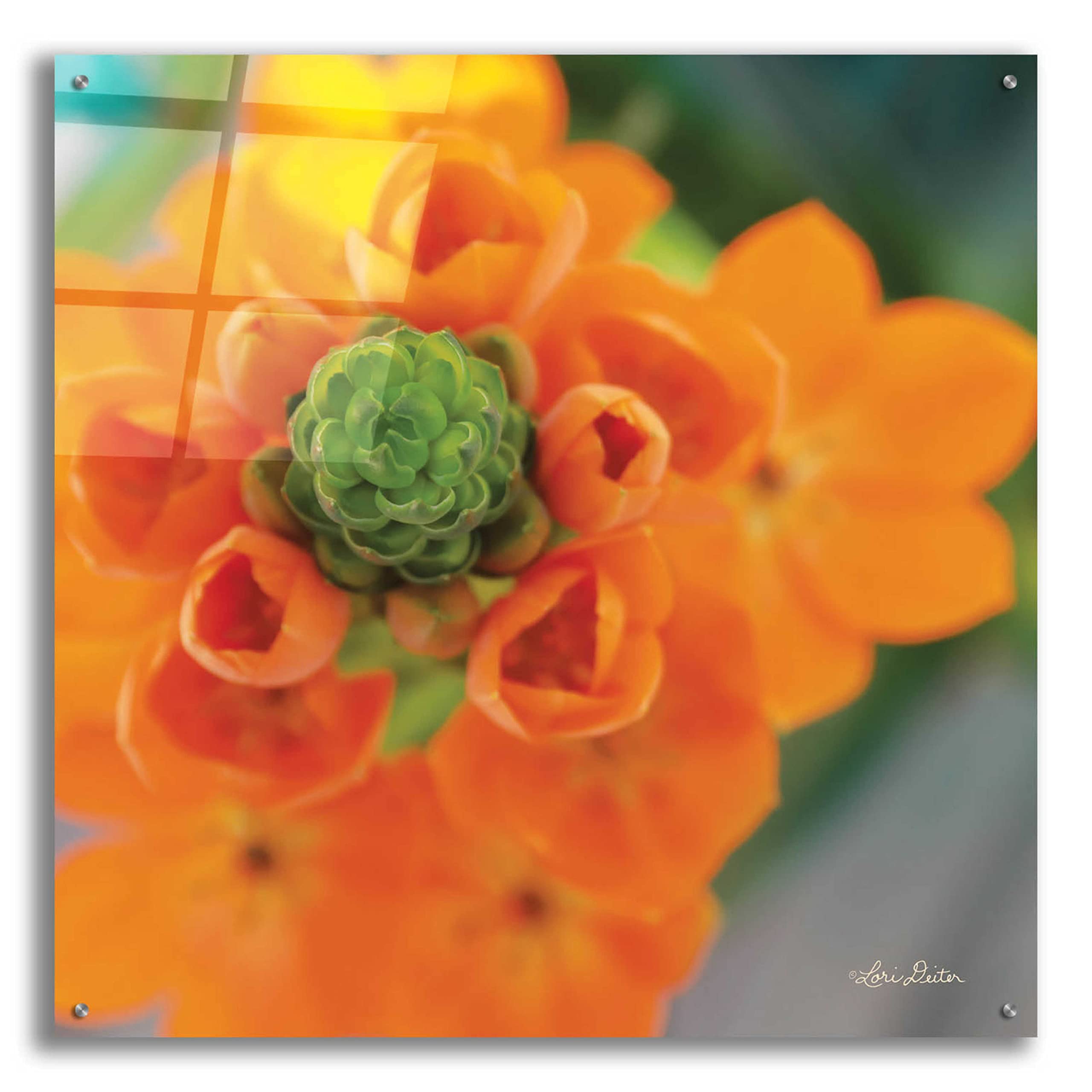 Floral Pop IV Abstract Wall Art by Lori Deiter - 36x36 Inch Acrylic Glass Canvas Painting - Modern Home Decor for Living Room, Bedroom & Office