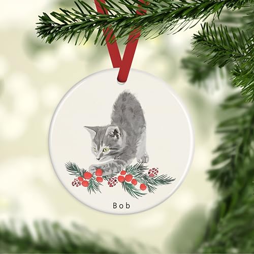 Gray Tabby