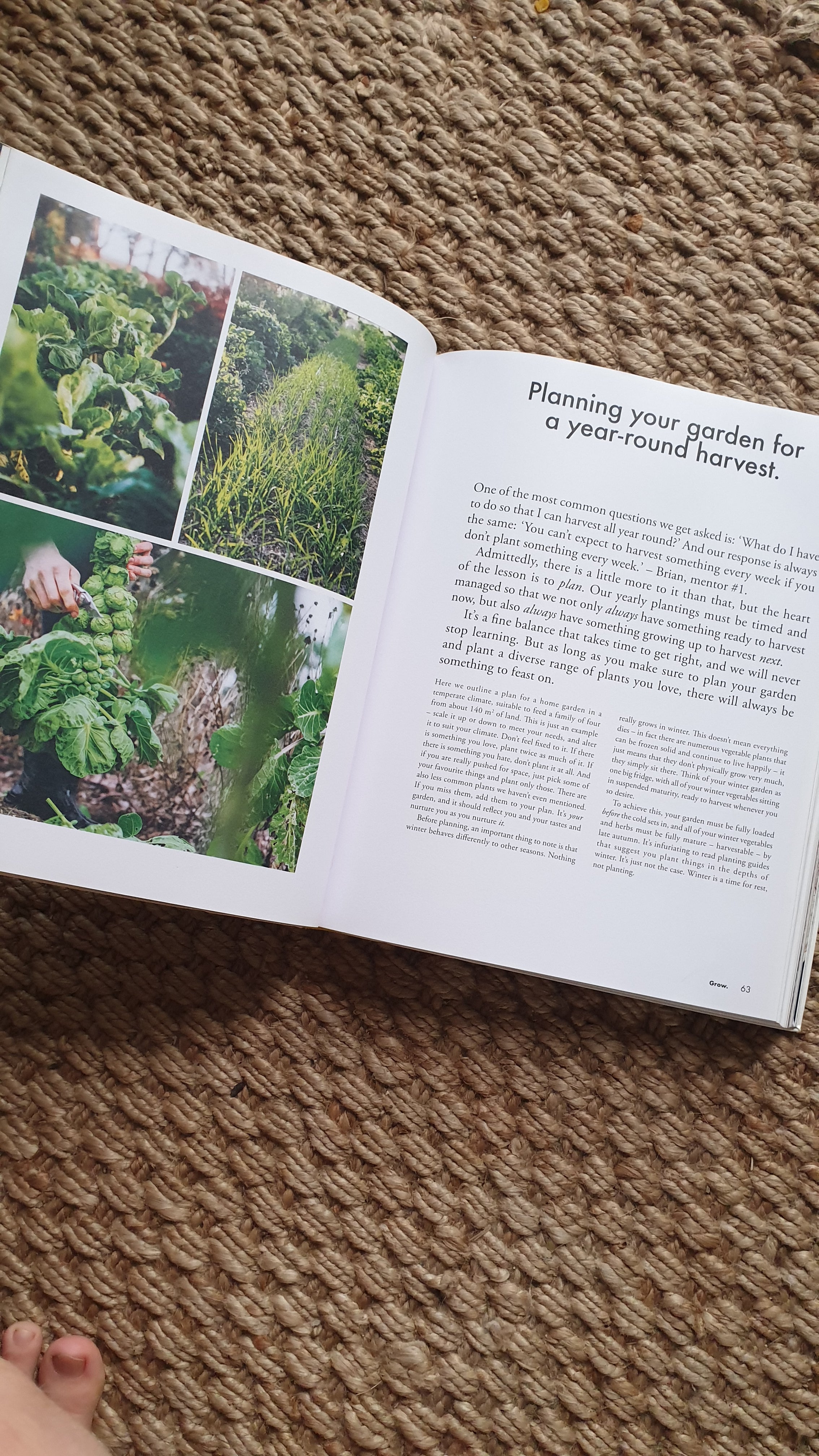 Grown & Gathered - Organic Homegrown Herbs & Vegetables for Healthy Cooking | Perfect for Farm-to-Table Meals, Vegan Recipes & Sustainable Living