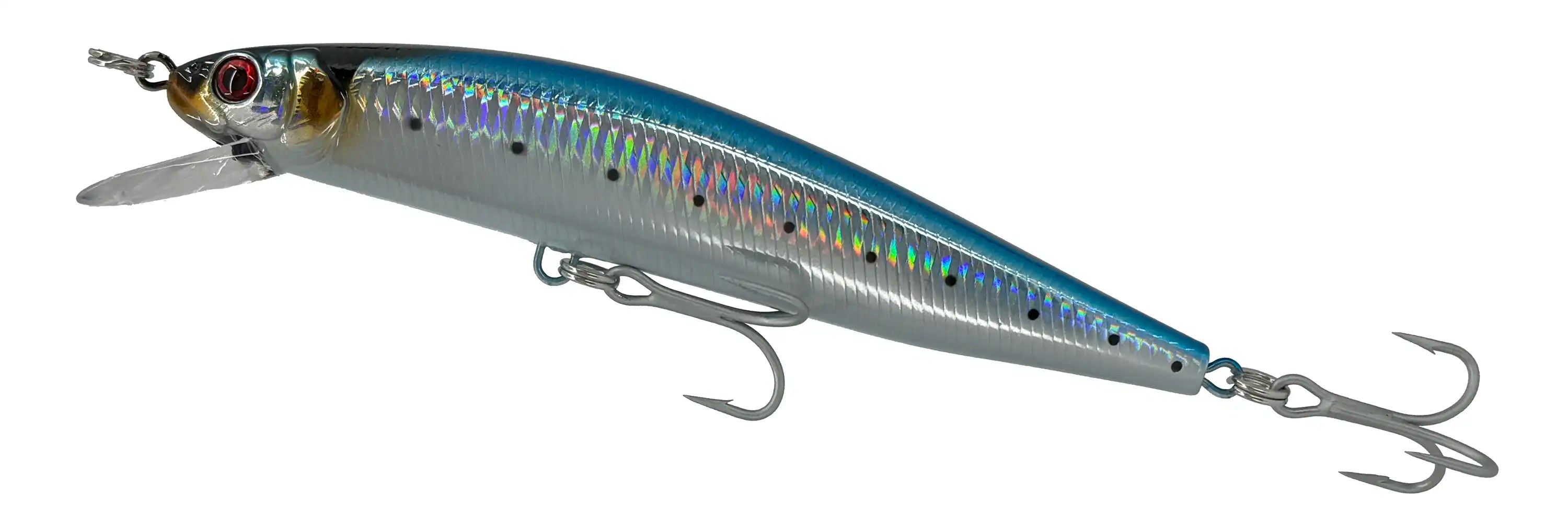 Sardine