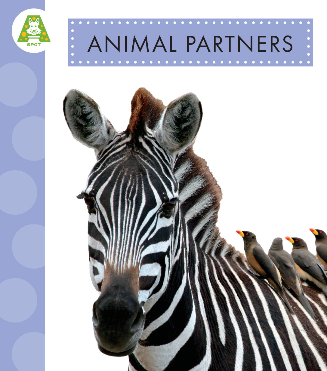 Animal Partners - Premium Pet Supplies & Accessories for Dogs, Cats & Small Pets | Perfect for Grooming, Training & Playtime