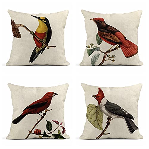 Birds on Branch