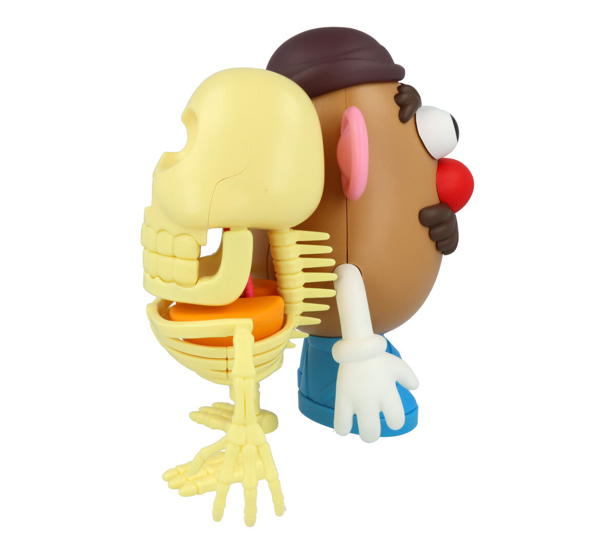 4D XXRAY Mr Potato Head Toy - Fun & Educational Building Blocks for Kids - Perfect for STEM Learning, Creative Play & Birthday Gifts