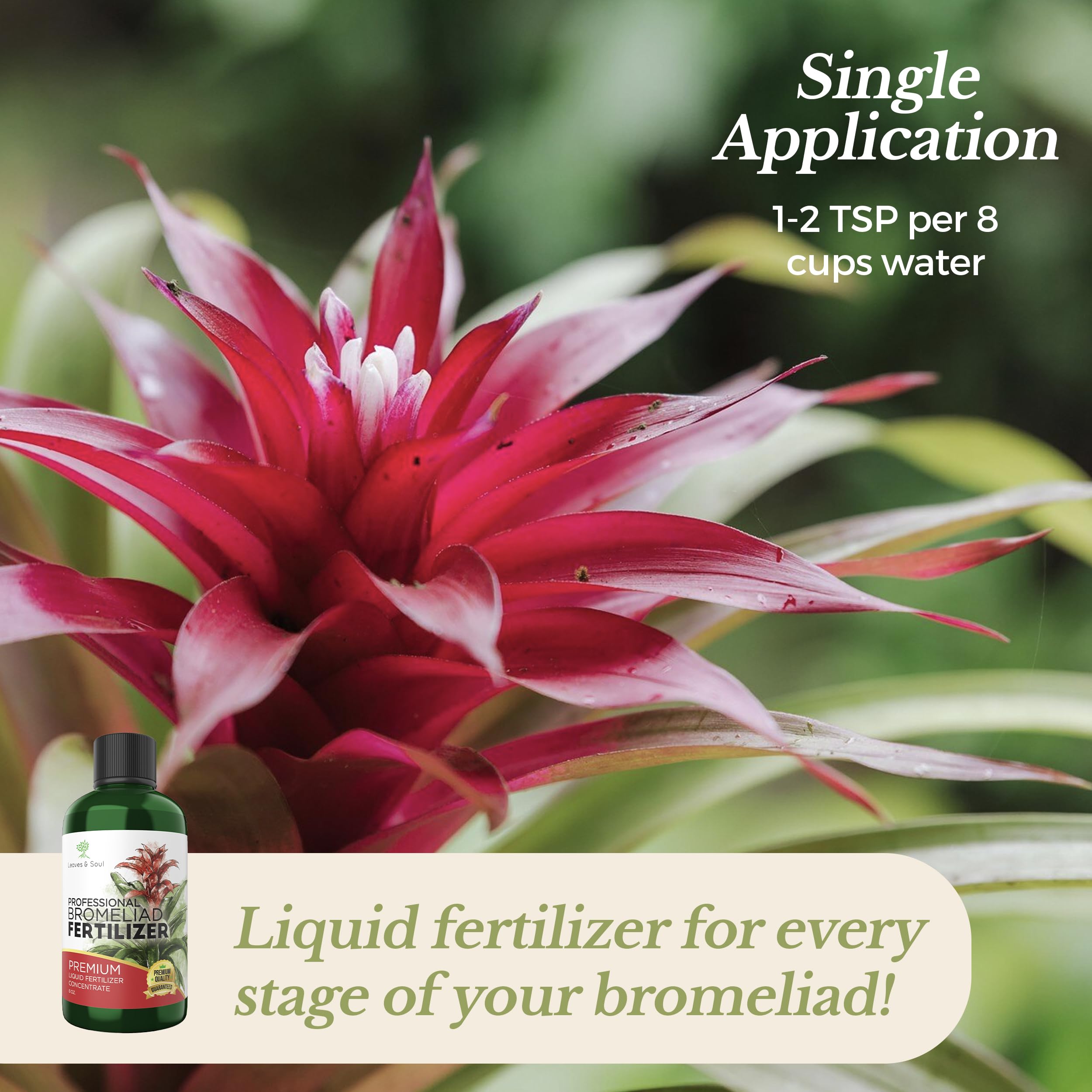 Professional Liquid Bromeliad Plant Fertilizer 3-1-2 Concentrate for Healthy Plants & Flowers | Multi-Purpose Gardening Supplies | 8 oz Bottle | Perfect for Indoor Houseplants, Outdoor Gardens & Tropical Plant Care