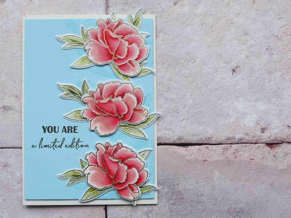 Reason to Smile Stamp Set - DIY Scrapbooking & Card Making Stamps for Handmade Greeting Cards, Journals, and Craft Projects - Perfect for Birthdays, Weddings, and Special Occasions