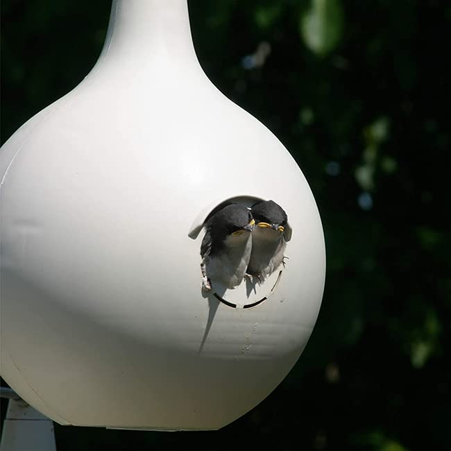 16 Pack SREH Two-Piece Crescent Martin Gourds - Durable Outdoor Birdhouses for Garden & Backyard Decor | Attract Purple Martins & Enhance Your Outdoor Space