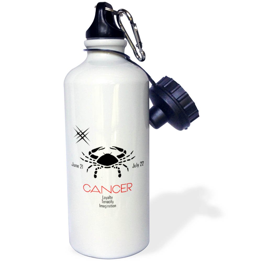 3D Rose Medieval Knight Iron Helmet Design Water Bottle - Unique Vintage Style for Home, Office, Gym & Outdoor Adventures