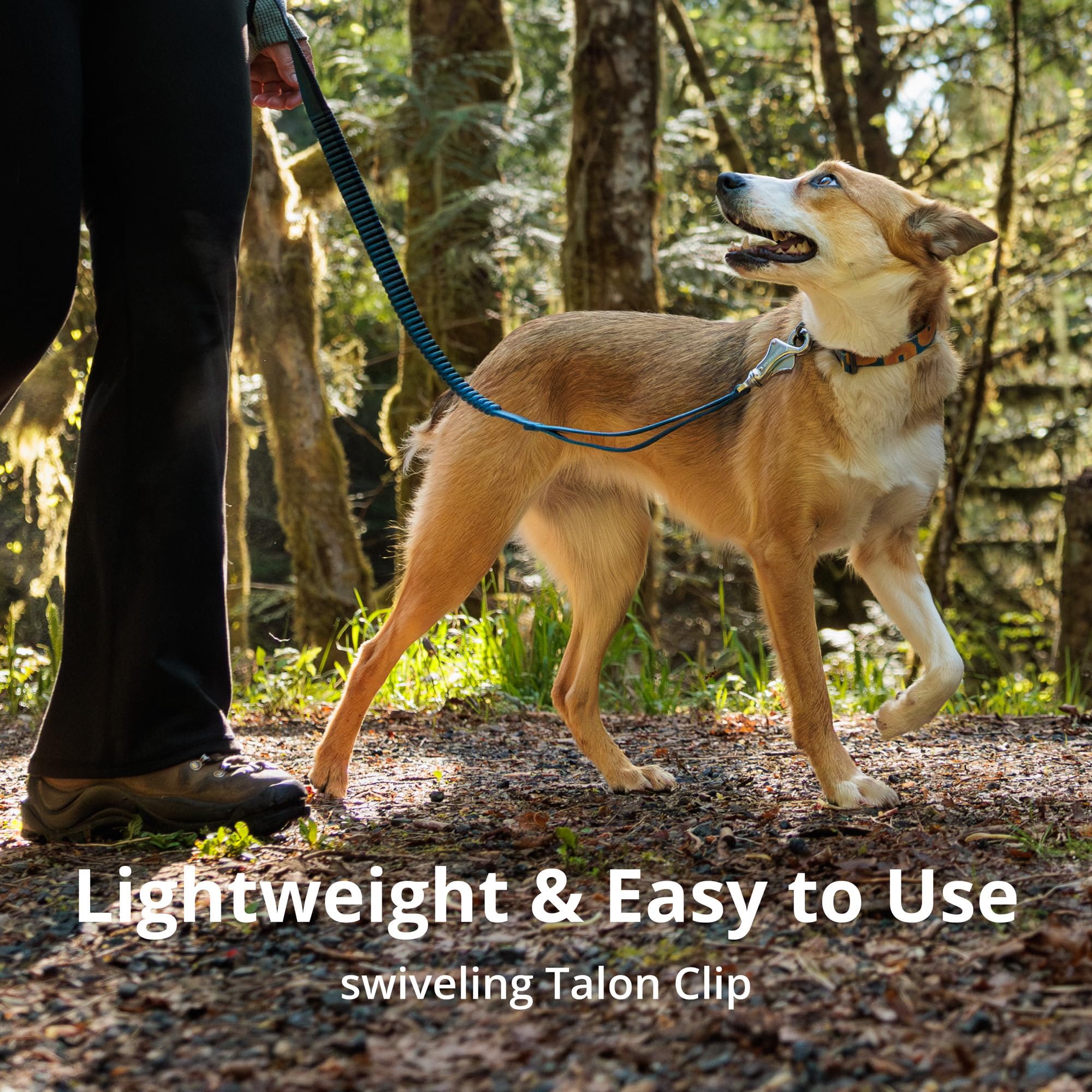 Ruffwear Roamer Bungee Dog Leash - Adjustable 7.3' to 11' Hands-Free Running Leash for Hiking & Biking | Shock-Absorbing Reflective Dog Lead in River Rock Green | Perfect for Active Dogs & Outdoor Adventures