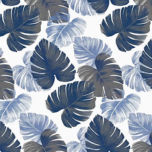 Monstera Blue