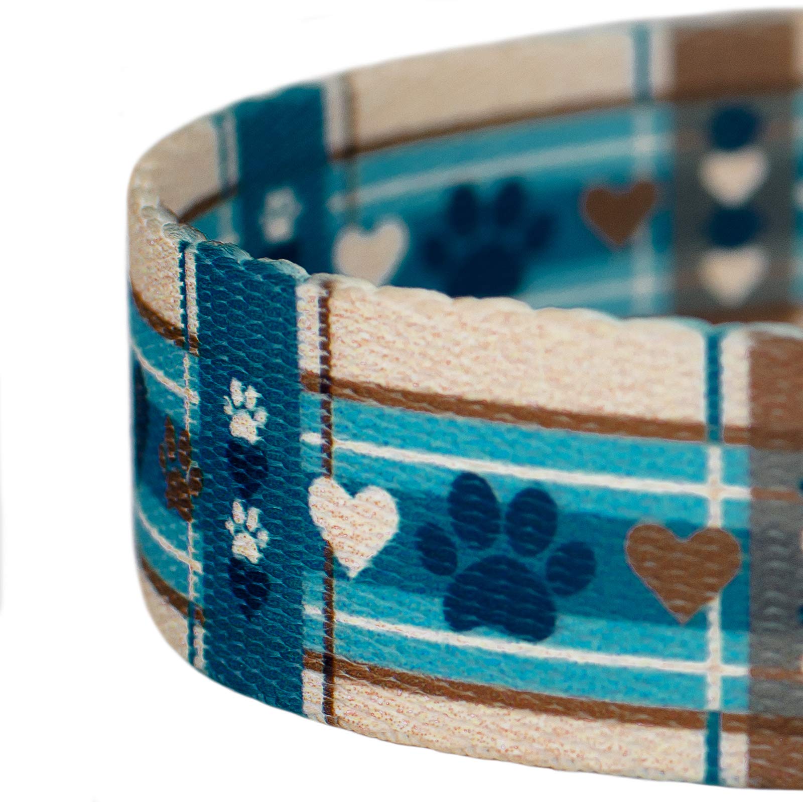 Country Brook Petz - 1 Inch Wide 4 Foot Puppy Picnic Dog Leash for Small Dogs - Perfect for Outdoor Walks, Park Visits, and Picnic Adventures