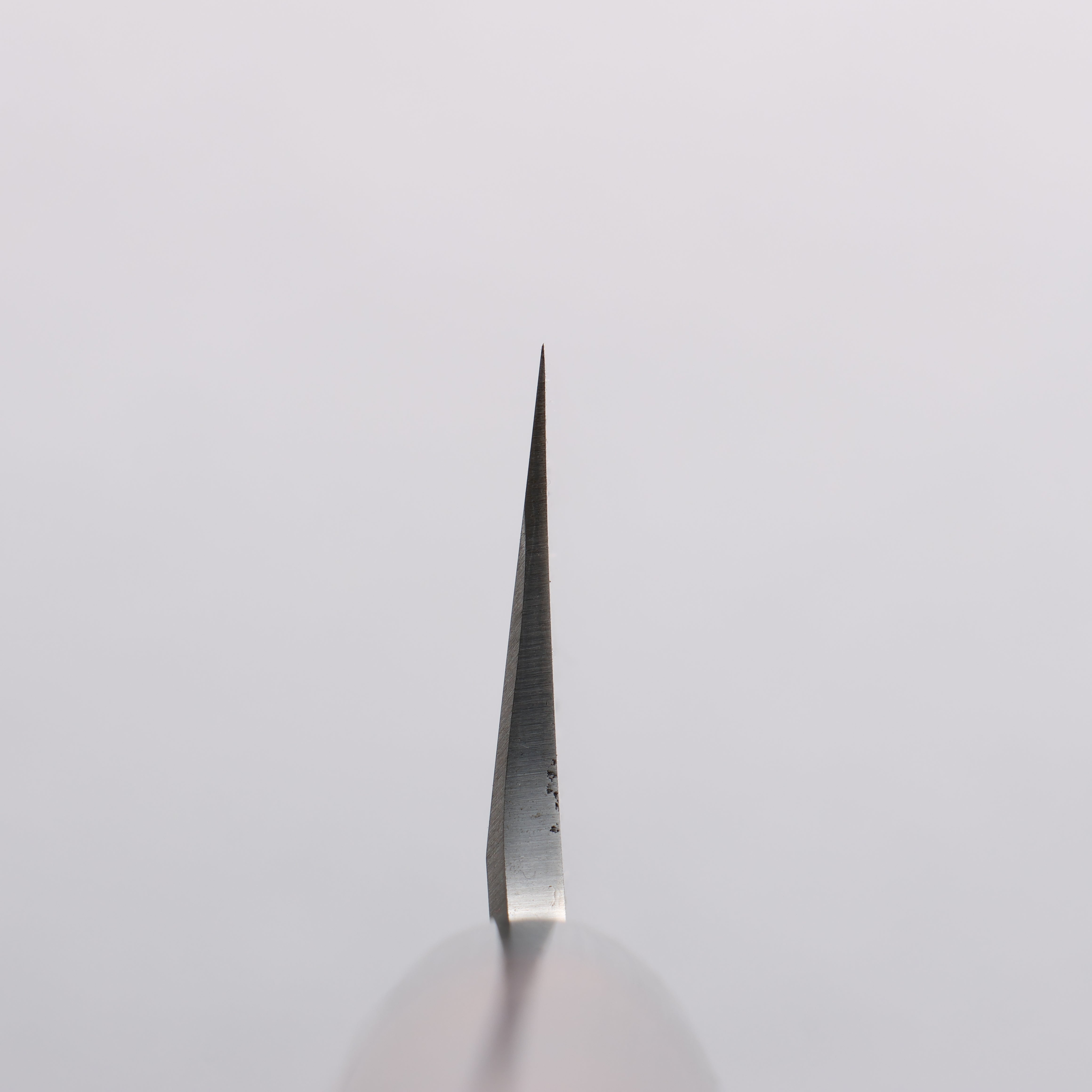 Premium Jikko White Steel No.2 Usuba Knife 195mm - Japanese Professional Chef Knife with Shitan Handle - Perfect for Sushi, Vegetables & Precision Cutting