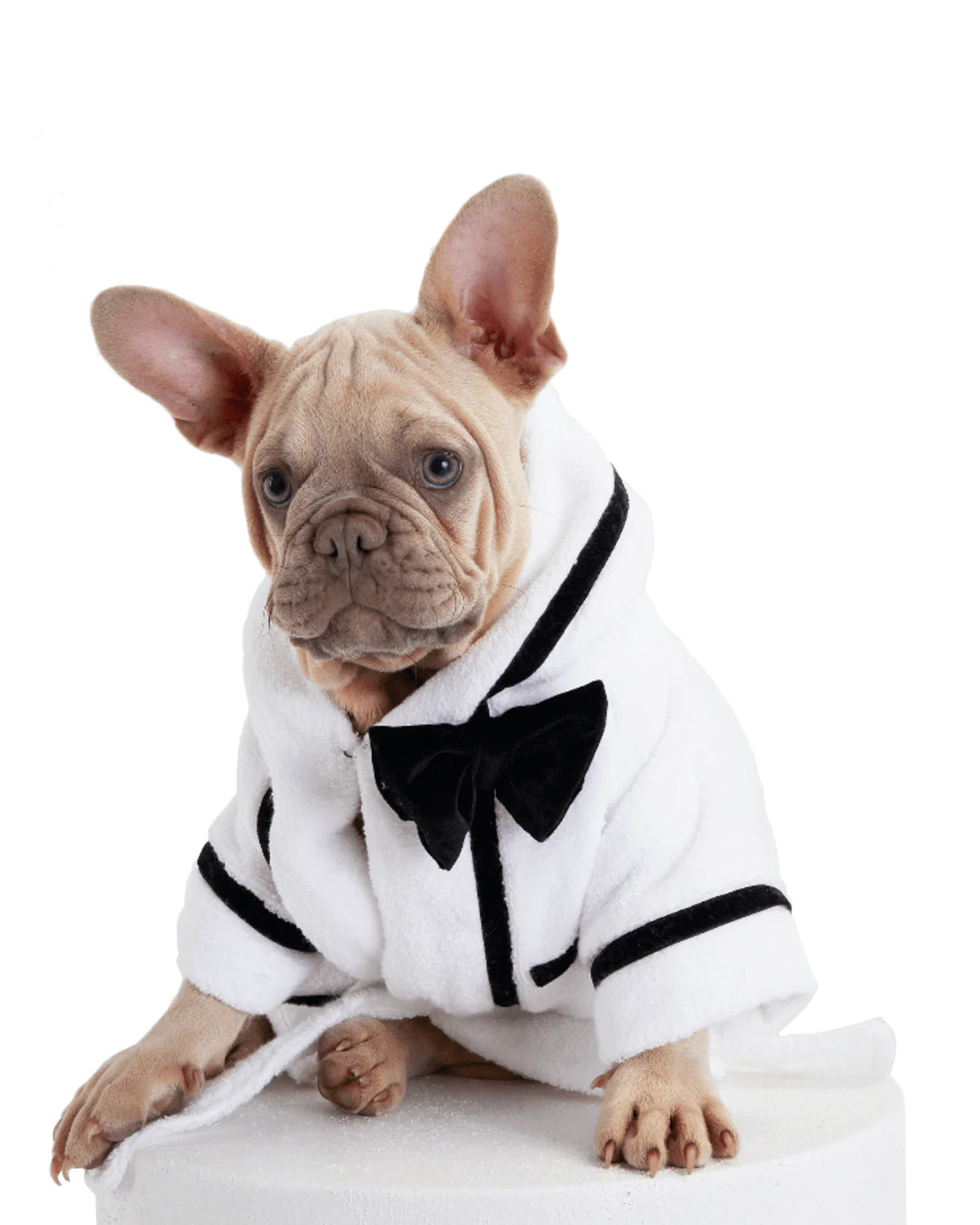 Premium Dog Bathrobe for Men - Soft & Absorbent Pet Robe for Grooming, Spa & Relaxation at Home - Perfect for Small & Medium Dogs After Bath or Pool Time