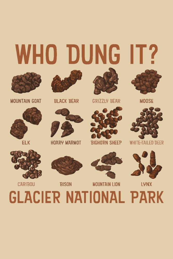Glacier National Park Montana Travel Poster - 36x54 Giclee Gallery Print for Wall Decor | Vintage National Park Art for Home, Office & Cabin Decor