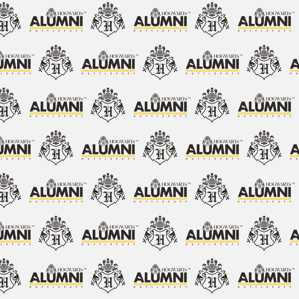 Harry Potter Hufflepuff Wrapping Paper Roll - Official Licensed Gift Wrap for Birthdays, Christmas & House Pride - Perfect for Party Decor, Book Lover Gifts & Wizarding World Fans
