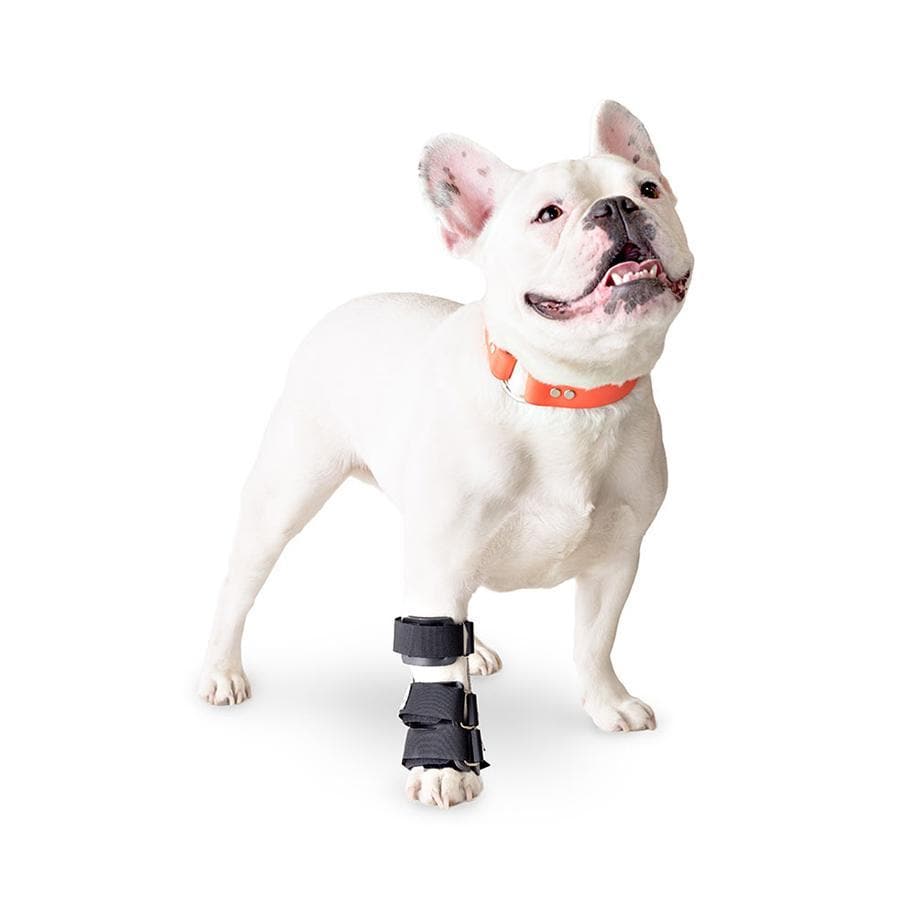 Walkin' Pets Ferula Carpiana Dog Carpal Splint - Support Brace for Canine Wrist Injuries & Arthritis Relief - Ideal for Active Dogs & Post-Surgery Recovery