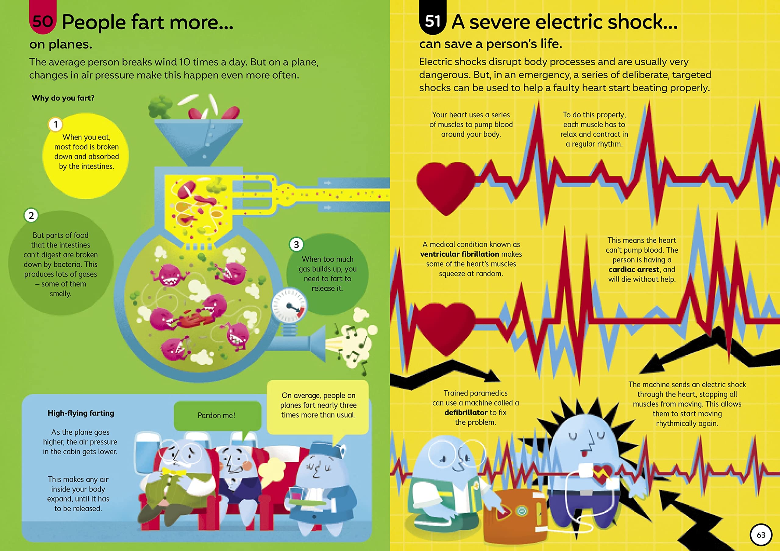 100 Fascinating Facts About the Human Body - Science Book for Kids & Adults - Perfect for Homeschooling, Classroom Learning & Curiosity Exploration