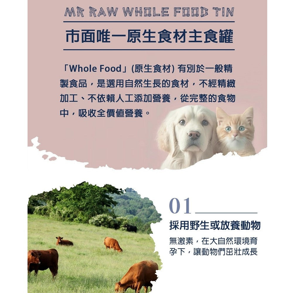 Premium 100% Fresh Beef Canned Food for Dogs & Cats - High Protein Meal for Pets - Perfect for Travel, Camping & Emergency Pet Supplies