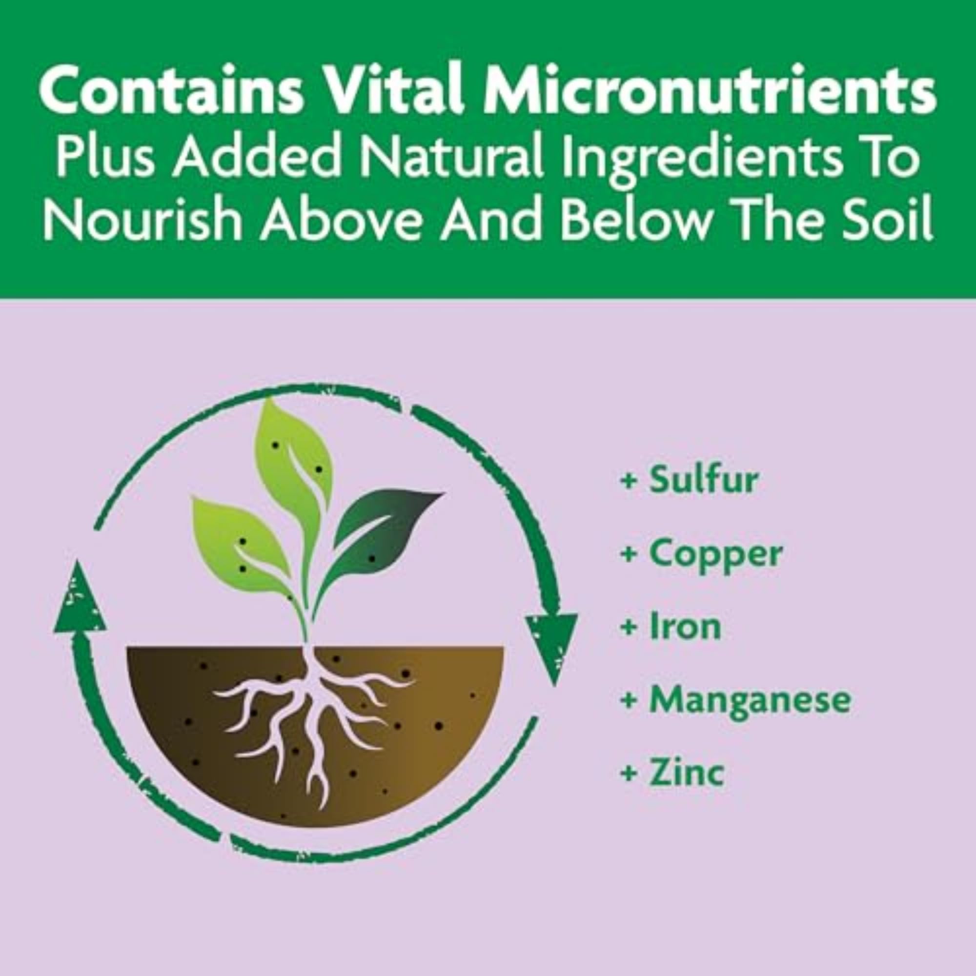 Miracle-Gro Shake 'N Feed Rose & Bloom Plant Food - All Purpose Flower Fertilizer for Roses, Flowers & Shrubs - Perfect for Garden Beds, Potted Plants & Outdoor Landscaping