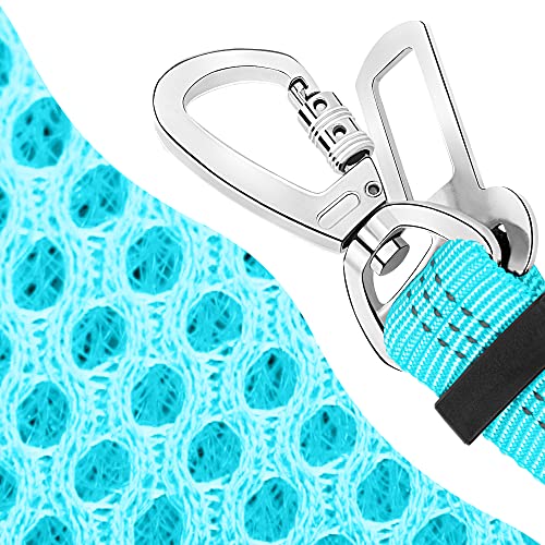 B5- Light Blue (Double Clip 2 in 1)