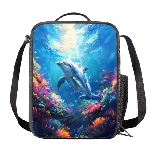 Dolphin
