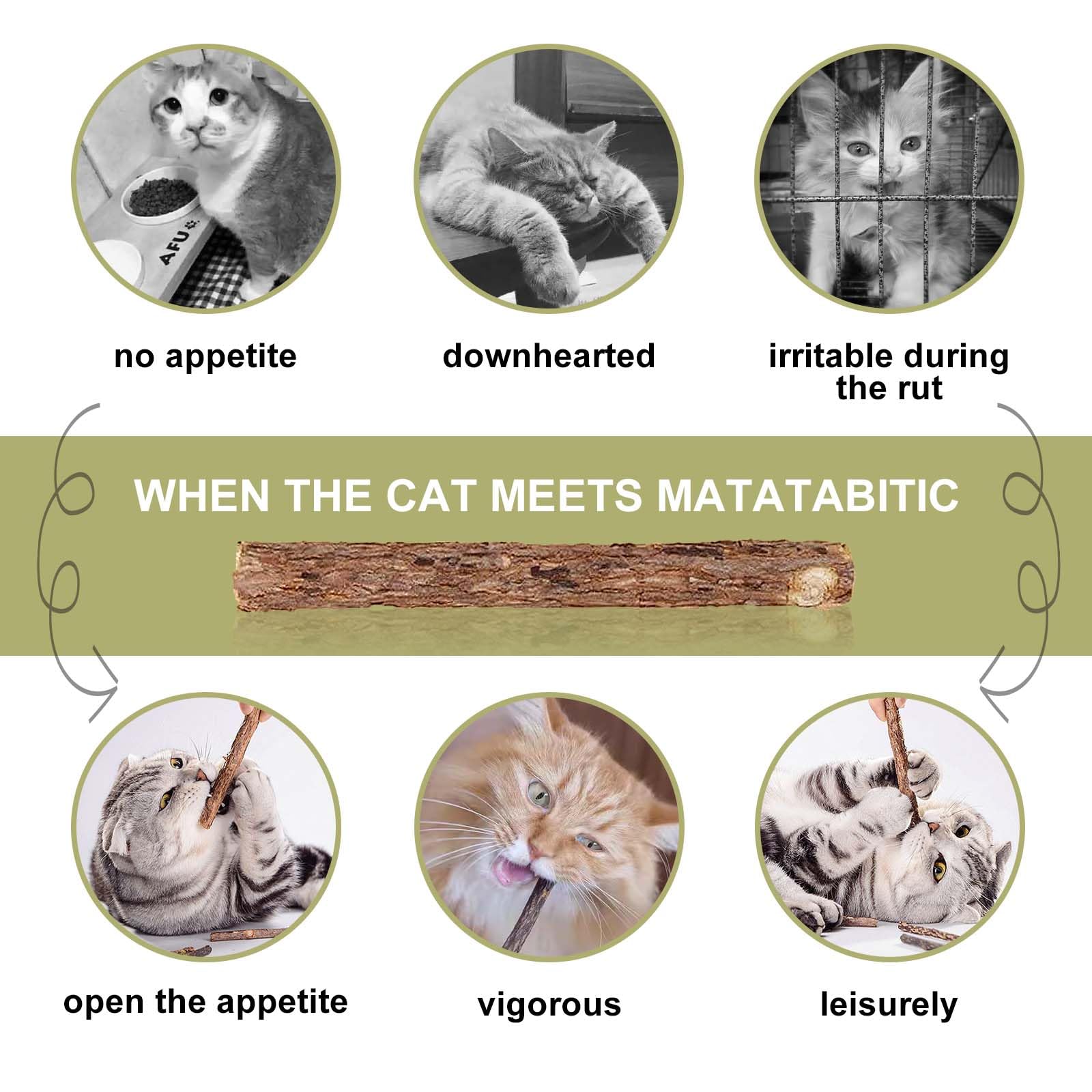 SeaMorn 30Pcs Natural Matatabi Silvervine Cat Chew Sticks - Dental Cat Toys for Kittens & Adult Cats with Catnip, Teeth Cleaning & Grinding Chews - Perfect for Indoor Play, Stress Relief & Oral Health