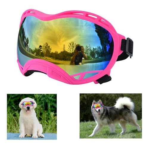 Pink Frame & Colored Lens/Large