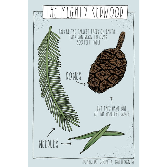 Premium Handmade Pen+Pine Postcards - Unique Greeting Cards for Travelers & Collectors - Perfect for Holidays, Birthdays & Souvenirs