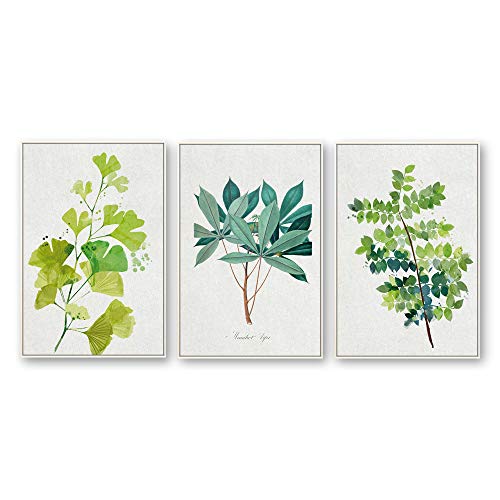 Plants-1909-n17