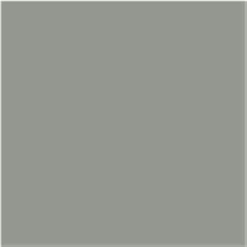 Agave Green
