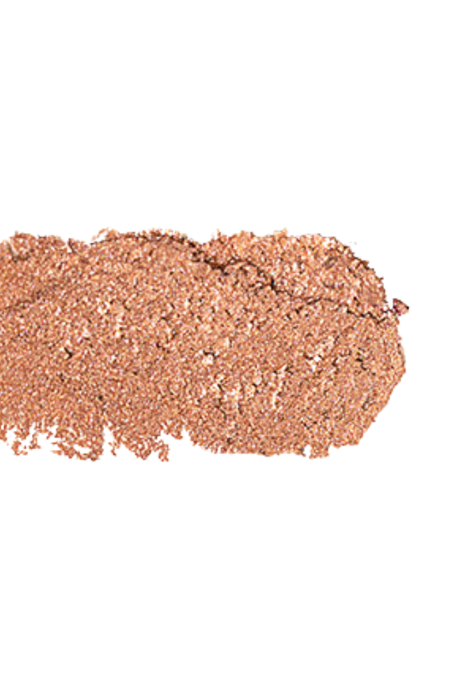 Pink Lily Beauty Eye Want It All Multi Eyeshadow & Eyeliner Palette - Bronze Bloom | Long-Lasting Pigmented Makeup Kit for Day & Night Looks | Perfect for Parties, Weddings & Special Occasions