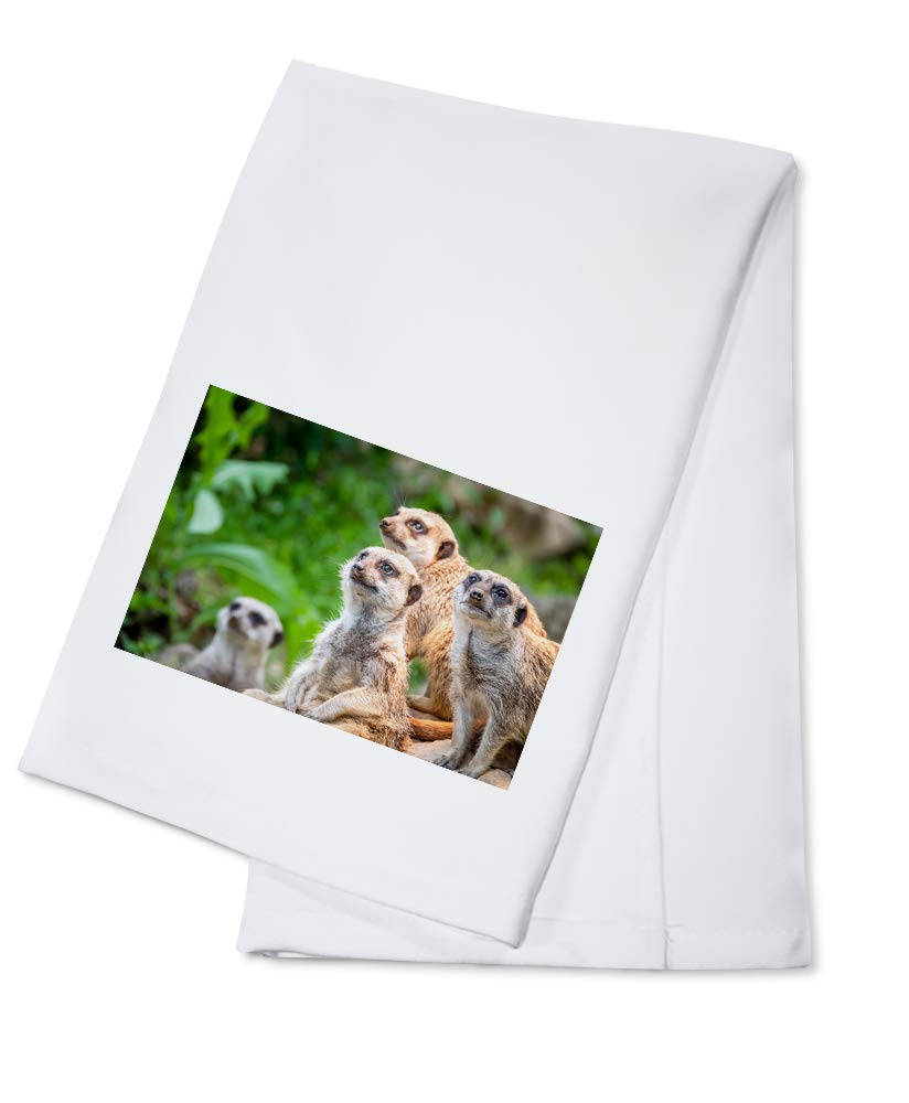 100% Cotton Meerkat Tea Towel - Decorative Hand Towel for Kitchen, Bathroom & Home Decor - Perfect for Dish Drying, Gift Giving & Farmhouse Style Decor