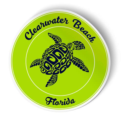 Squiddy Clearwater Beach Florida Turtle Vinyl Sticker Decal - 2.5