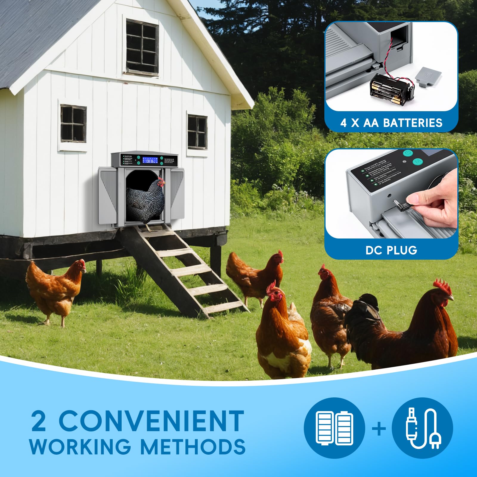 Automatic Chicken Coop Door with 3 Modes - Manual, Timer & Light Sensor | Anti-Pinch Safety Design | Battery/DC Powered (Grey) | Perfect for Poultry Farming, Backyard Chicken Coops & Small Livestock Shelters