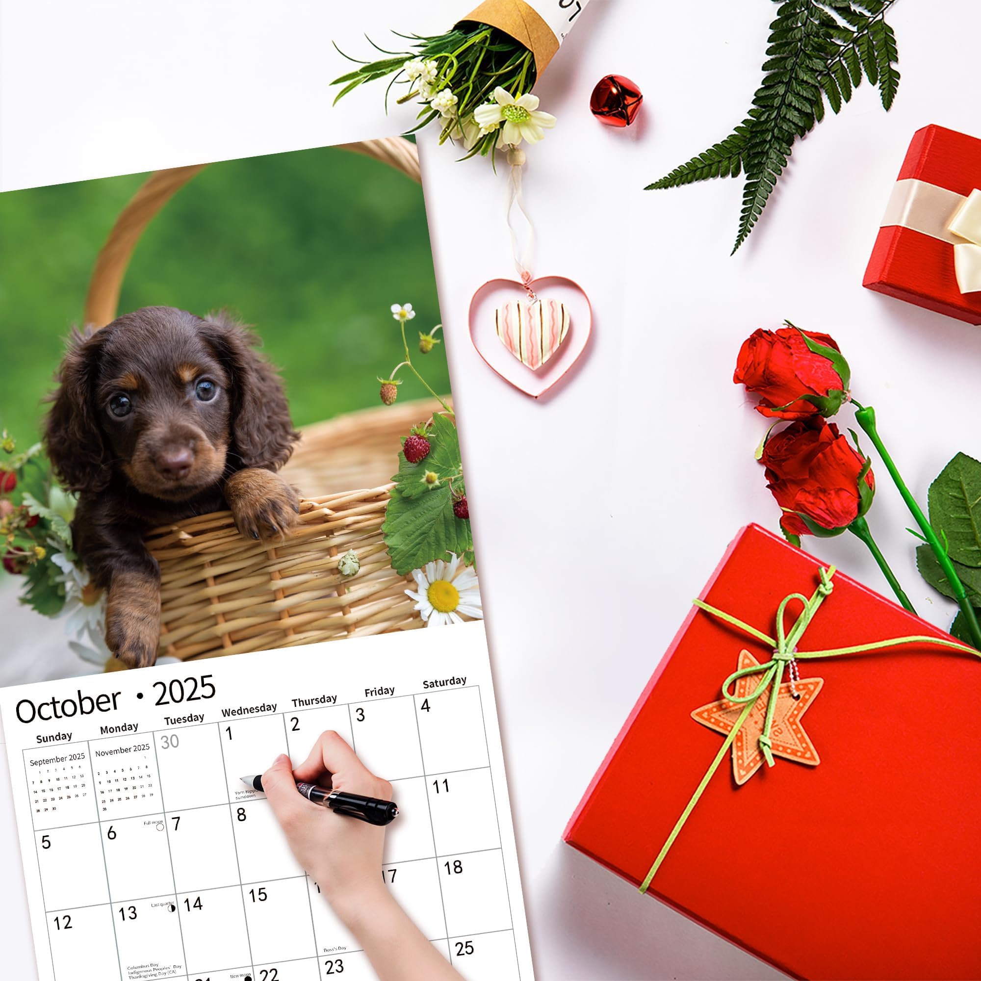 2025-2026 Wall Calendar with Dachshund Design | January 2025 to June 2026 | 12