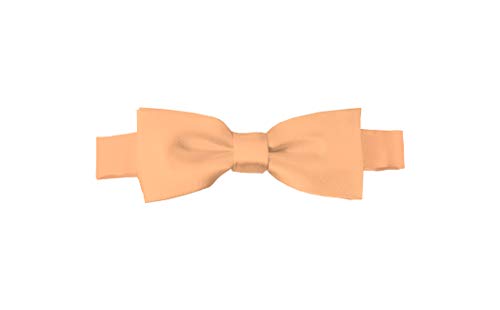 Light Salmon