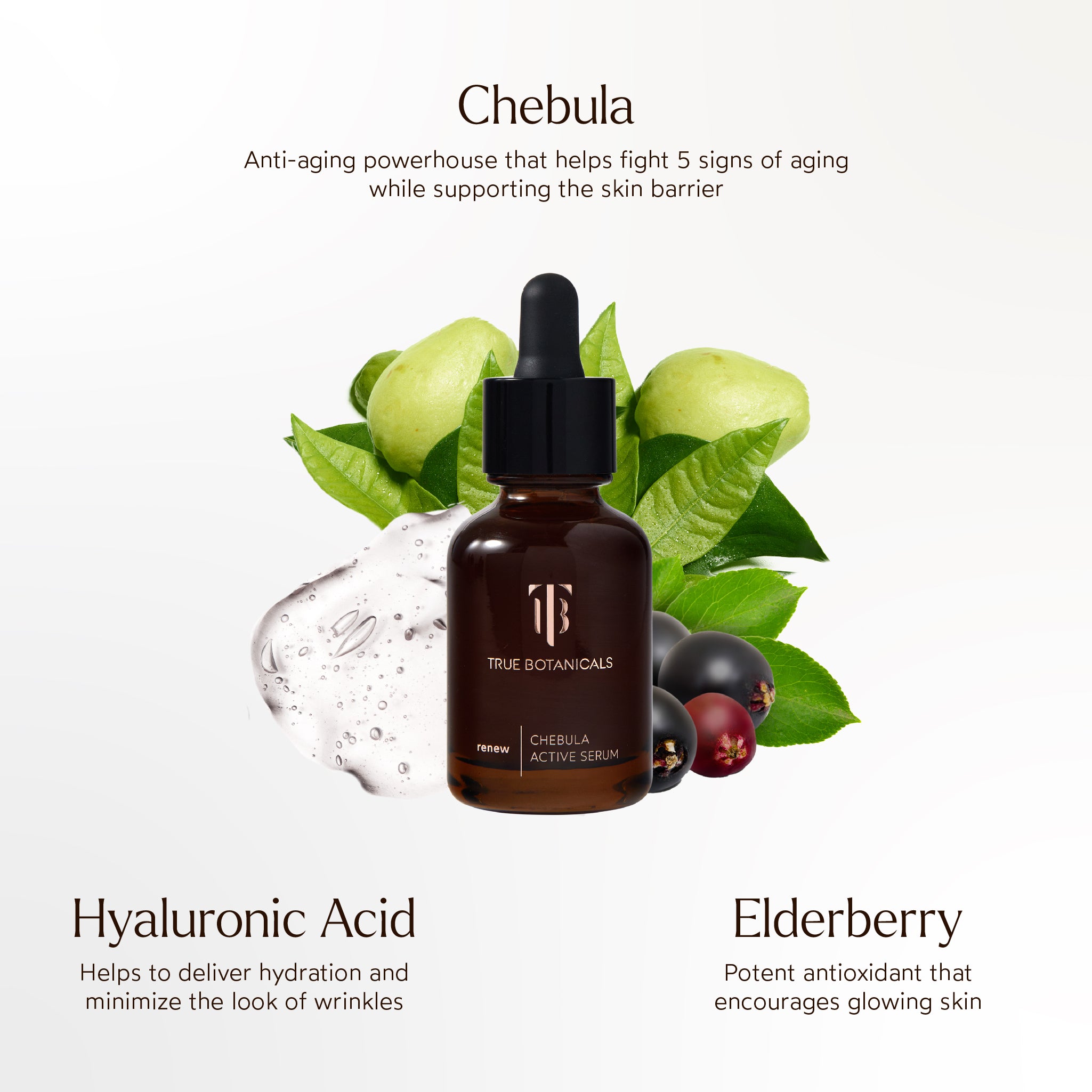 Chebula Active Anti-Aging Serum for Face - Organic Wrinkle Treatment & Skin Tightening Cream - Best for Night Routine, Dry Skin Care & Mature Skin Rejuvenation