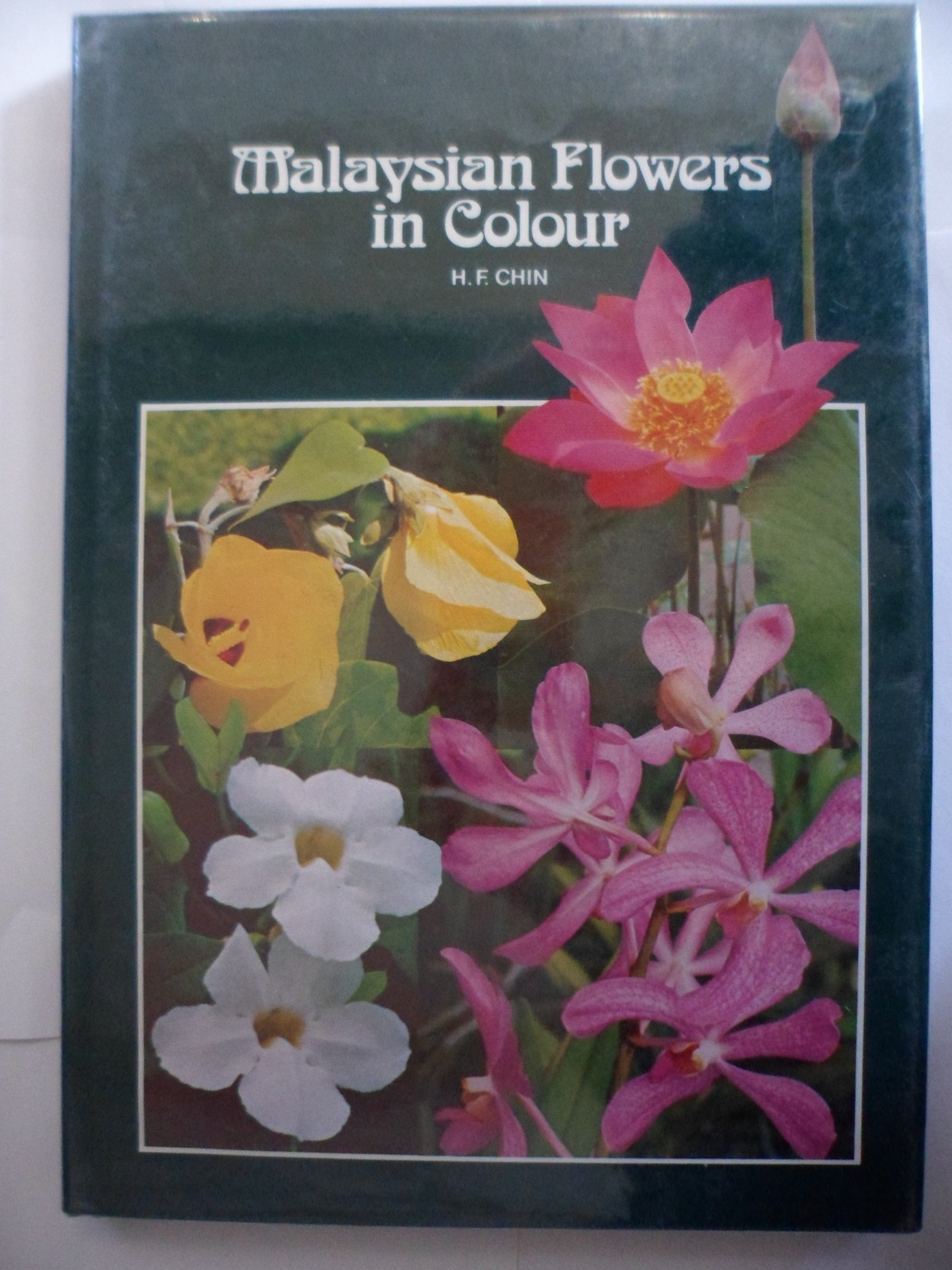 Vibrant Malaysian Flowers - Fresh & Exotic Blooms for Home Decor, Weddings & Special Events
