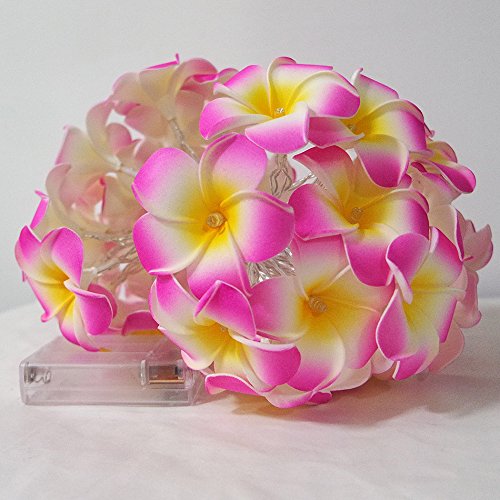 20 LED Hawaiian Plumeria Flower String Lights - Battery Powered Fairy Starry Lights for Christmas, Party, Home, Wedding & Beach Decor (Pink) | Indoor & Outdoor Decorative Lighting for Garden, Patio and Special Events