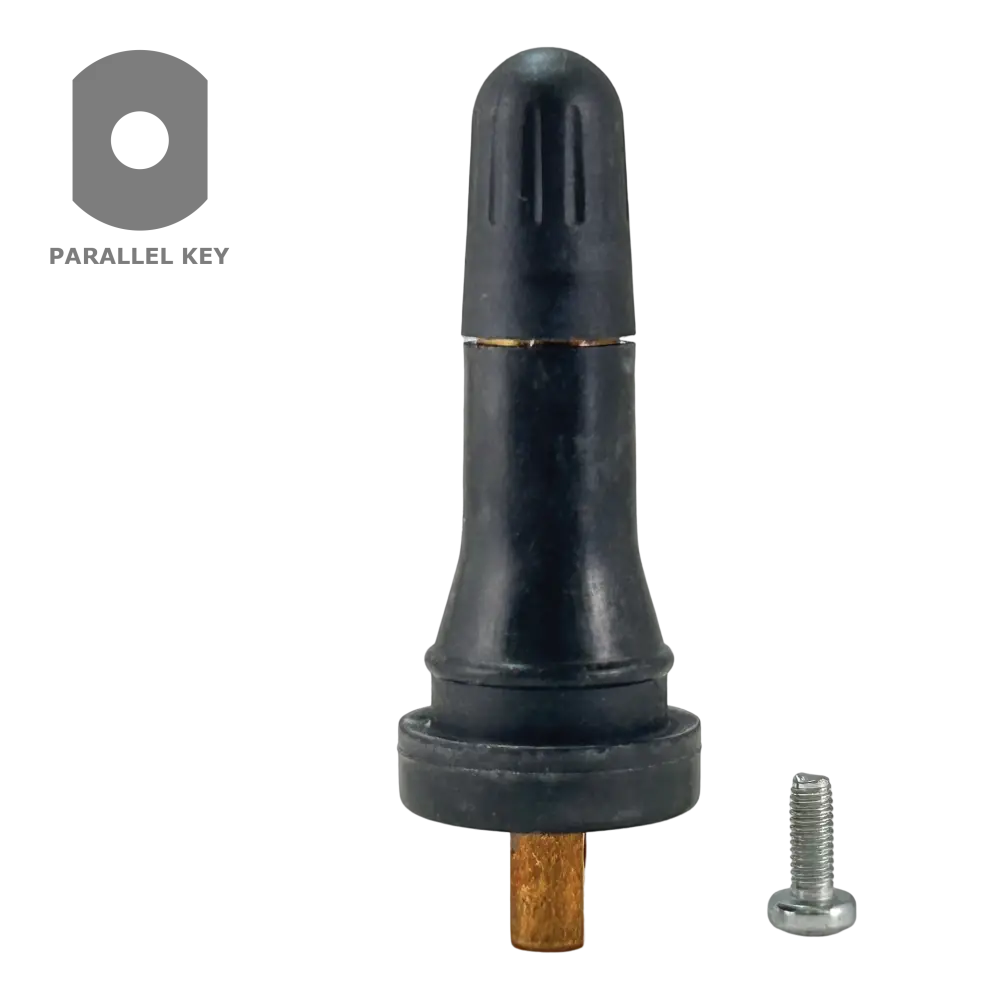 AAValueline TPMS 20008 Snap-in Valve for GM Vehicles (0.453 Inch, Pack of 100) - Perfect for Tire Pressure Monitoring System Replacement & Maintenance