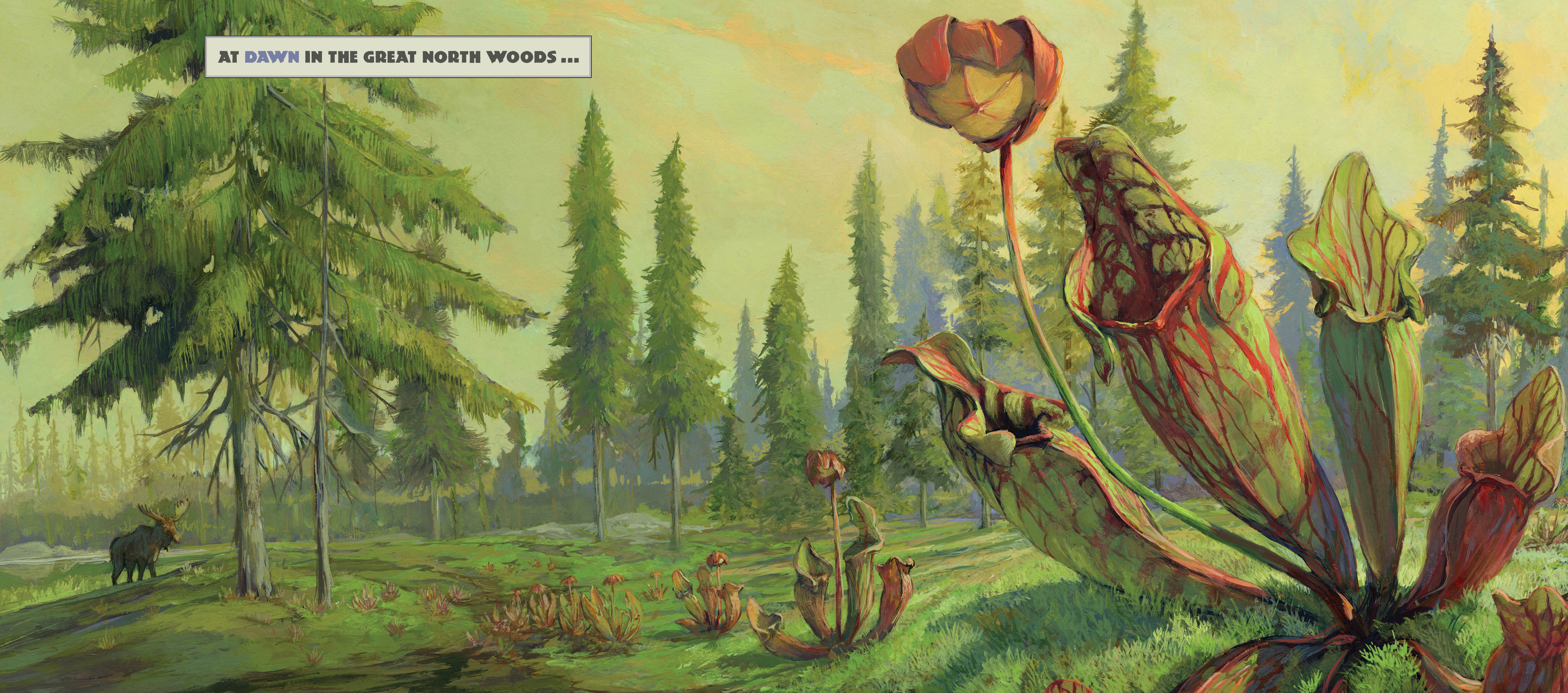 Great North Woods - Premium Outdoor Gear & Camping Equipment for Hiking, Backpacking & Wilderness Adventures