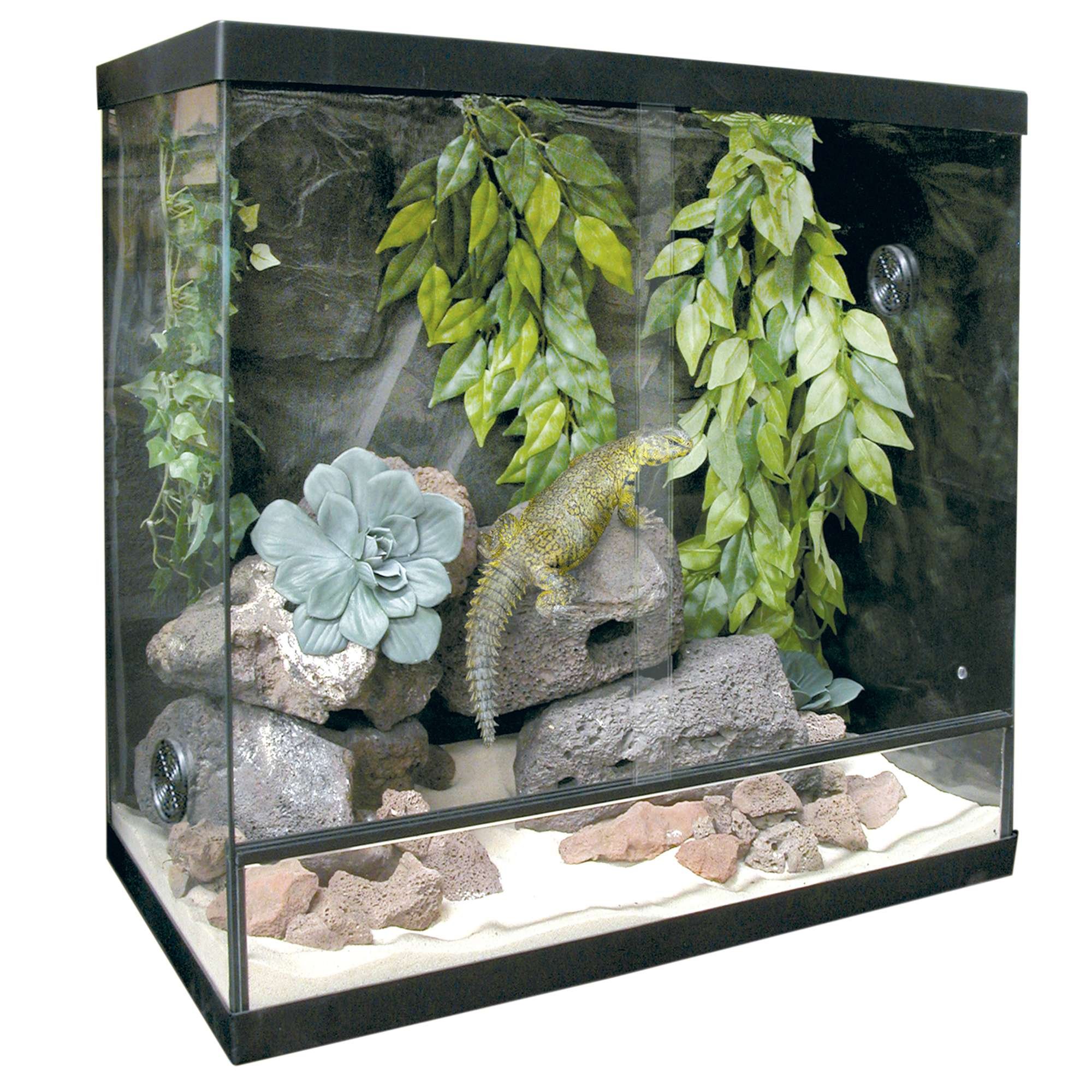 TRS60 Glass Terrarium for Plants - Perfect for Succulents, Air Plants & Miniature Gardens - Ideal for Home Decor, Office Desk & Indoor Gardening